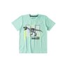 conjunto infantil masculino dinosaur mino s 8