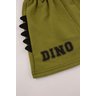 conjunto infantil masculino roar good boy 10