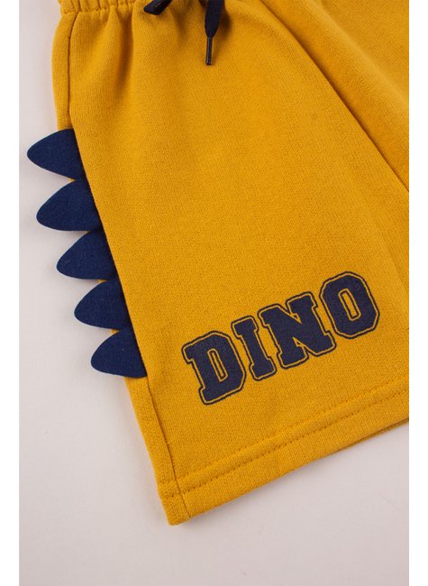 conjunto infantil masculino roar good boy 15