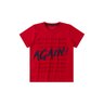 conjunto infantil masculino again mino s 12