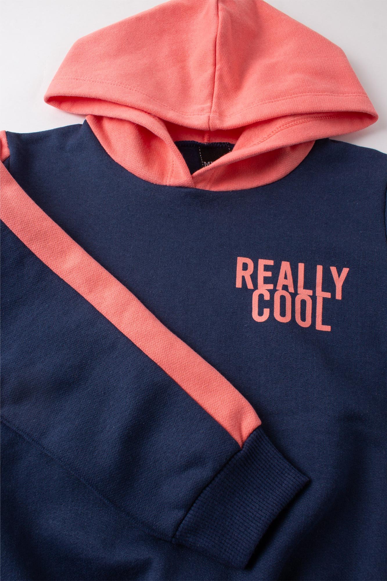 Conjunto Infantil Masculino Moletom Peluciado Really Cool Mino S ...
