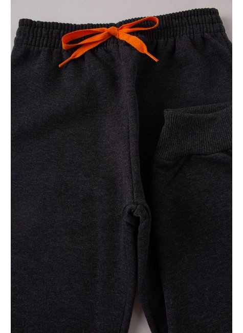 conjunto infantil masculino moletom peluciado fox good boy 5