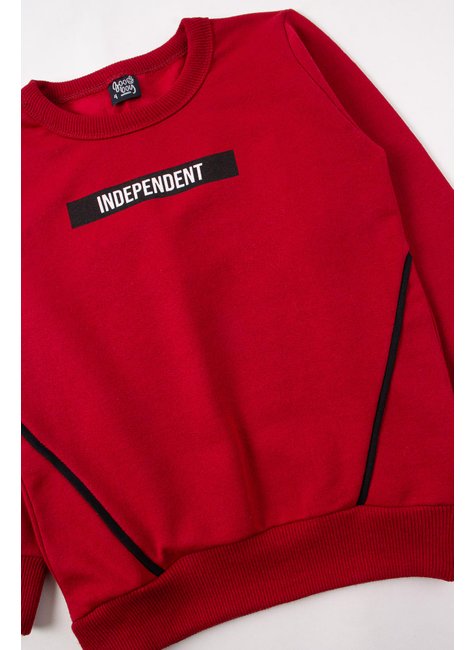 conjunto infantil masculino moletom peluciado independent good boy 9