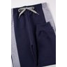 conjunto infantil masculino moletom peluciado dino good boy 15