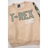 conjunto infantil masculino moletom peluciadomoletom sublimado peluciado t rex good boy 4