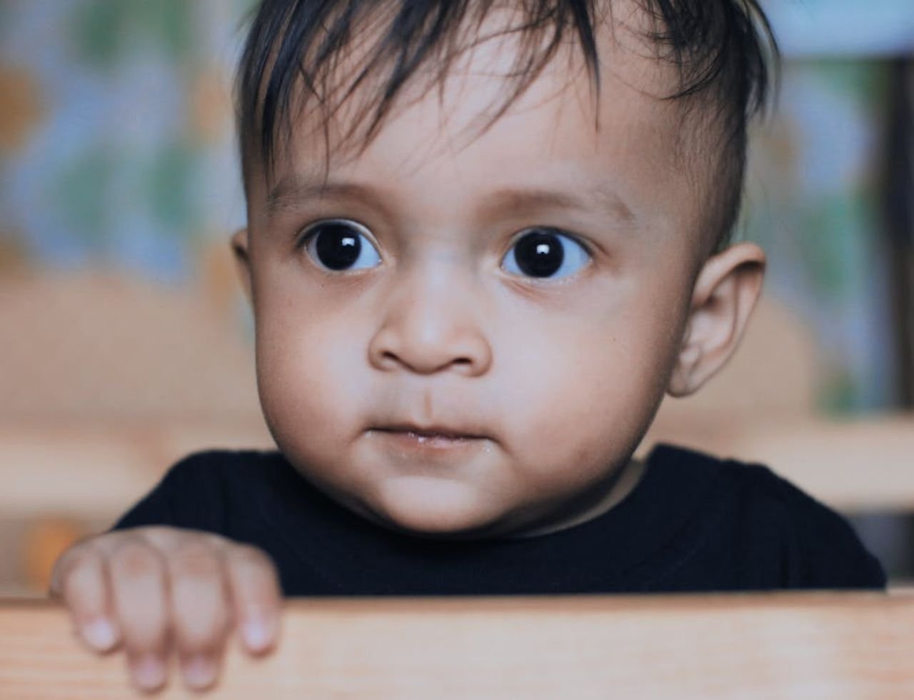 11 06 vt jr 330 jpg 12