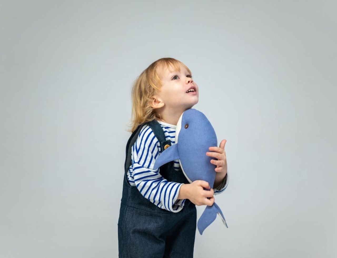 11 06 vt jr 330 jpg 16