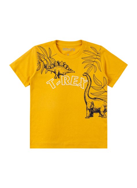 conjunto infantil masculino meia malhamoletinho t rex mino s 2