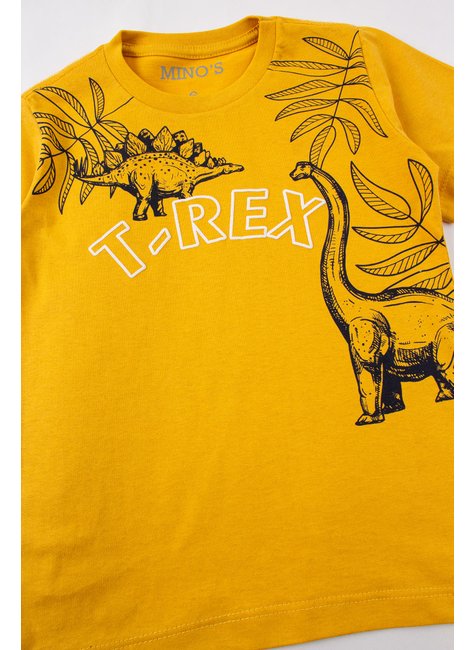 conjunto infantil masculino meia malhamoletinho t rex mino s 4