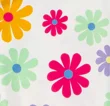 Flores Coloridas