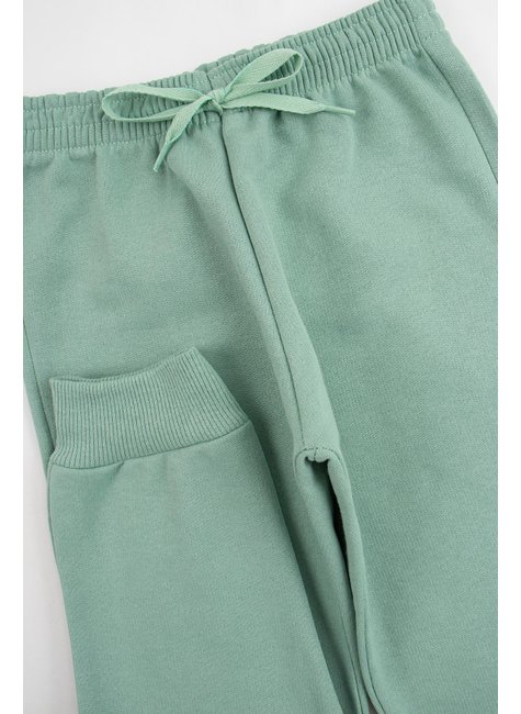 conjunto infantil masculino moletom peluciado wild life good boy 5