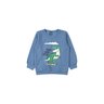 conjunto infantil masculino moletom peluciadomoletom sublimado peluciado roar good boy 2