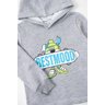 conjunto infantil masculino moletom peluciado cores primo s gueda 9