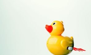 patinho de brinquedo em fundo branco