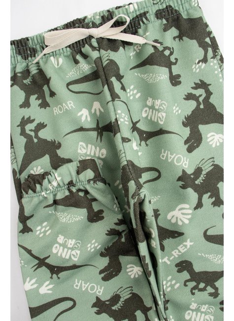 conjunto infantil masculino moletinho sublimado t rex good boy 5
