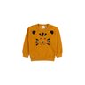 conjunto infantil masculino boucle peluciado tiger india baby 12