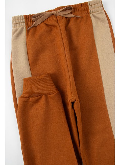 conjunto infantil masculino moletom peluciado roar good boy 5