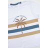 conjunto infantil masculino meia malhamoletinho vacations moda love 4